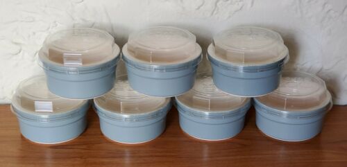 7 Pots & Co Cremer Cornflower Blue Dessert Baking Ramekins Dishes W Lids Set