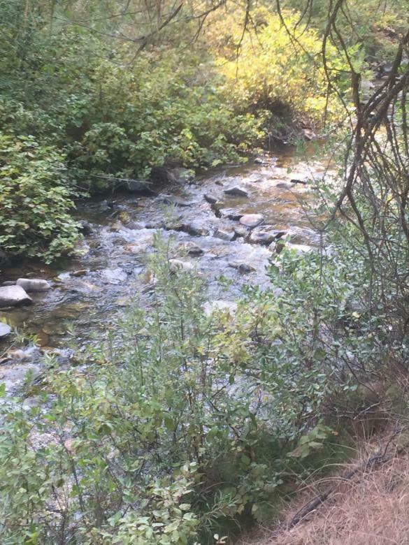 🇺🇸20 Acre Gold Mining Placer Claim on Bear River, Idaho🇺🇸