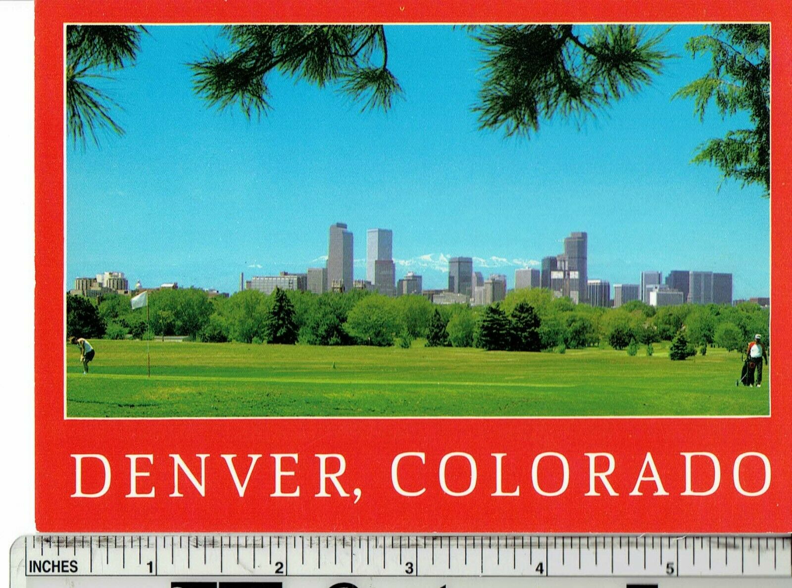 Postcard Colorado Denver Skyline Unposted