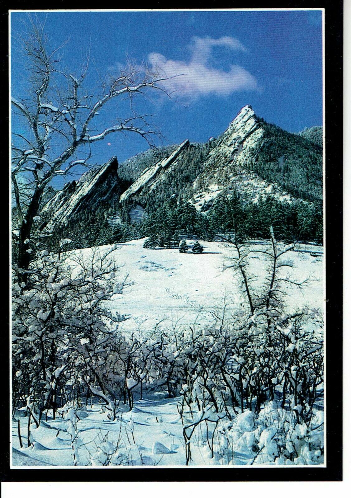 Postcard Winter View of The Flatiron Rock Formation Near Boulder Colorado